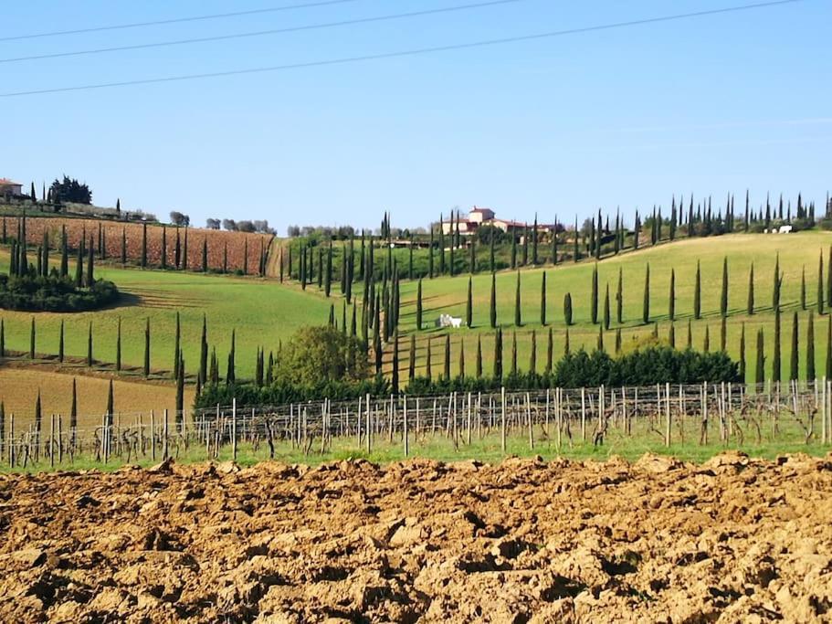 Castello Di Fulignano Ildebrando Superior Apartment San Gimignano Eksteriør bilde